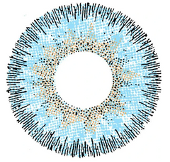 عدسات كونتور بلو اللاصقة الملونة