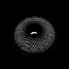 عدسات لاصقة بولار لايت جراي ملونة طبية