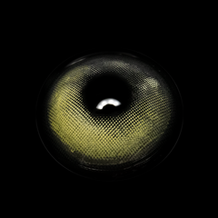 عدسات لاصقة ملونة طبية ياري جراي