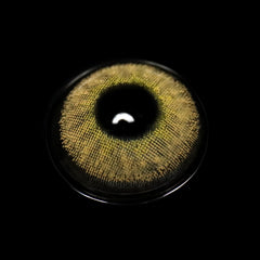 عدسات دانيكا أماندي براون اللاصقة الملونة